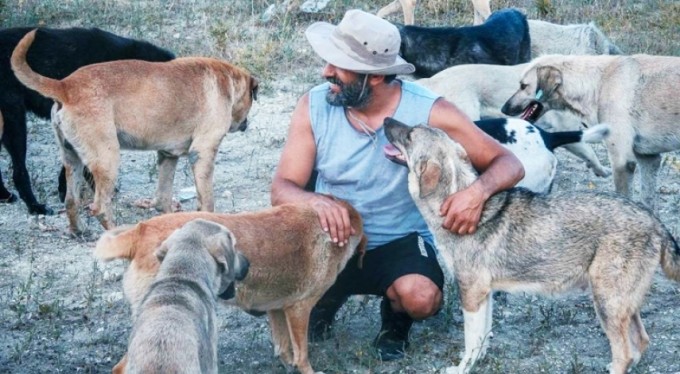 Böyle sevgi görülmedi! Bursa'da yüzlerce sokak köpeğini besliyor