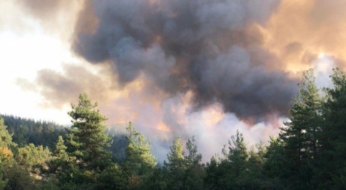 Orhaneli'de orman yangını