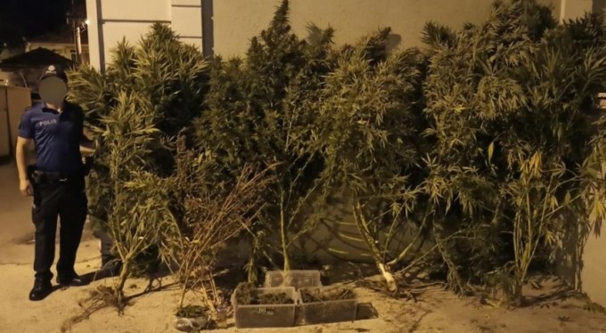 Bursa'da uyuşturucu operasyonu: 1 gözaltı