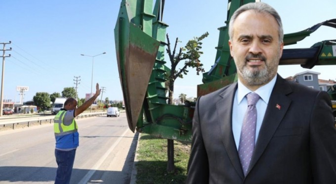 Bursa'da genişleyen yollarda kalan 450 ıhlamur ağacı taşınıyor