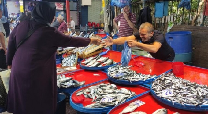 Bursa'da sardalya 20 liraya düştü, vatandaşlar poşetleri doldurdu