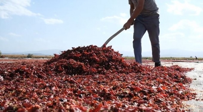 Bursa'nın toz biberi dünya mutfağında