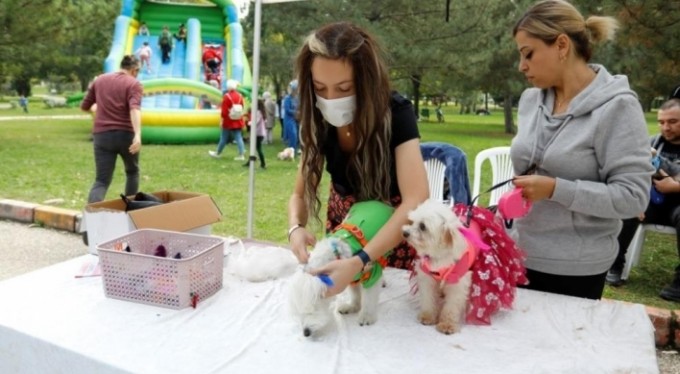 Bursa'da kedi ve köpekler podyumu süsledi