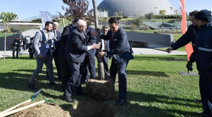 Bursa'nın erguvanları Almanya'da kök salacak