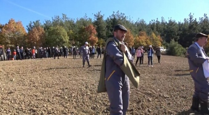 Türkiye'nin en ucuz ekmeği artık bu tarladan çıkacak! 400 gram ekmeği 1 liradan satıyor