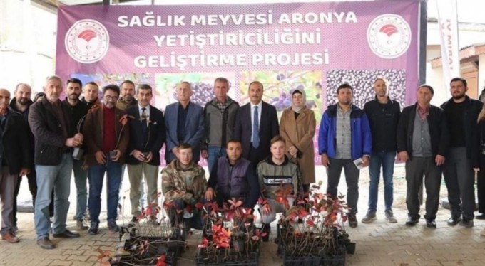 İznik'in bereketi, sağlık meyvesi aronya ile buluşuyor