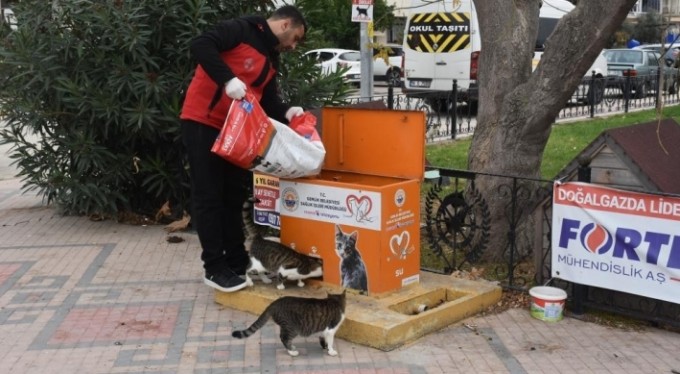 Gemlik'te sokaktaki canlar mamaya kolayca ulaşıyor