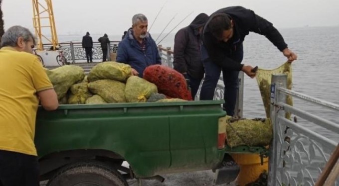 Bursa'da kaçak midye operasyonu!  Ele geçirilenler denize bırakıldı