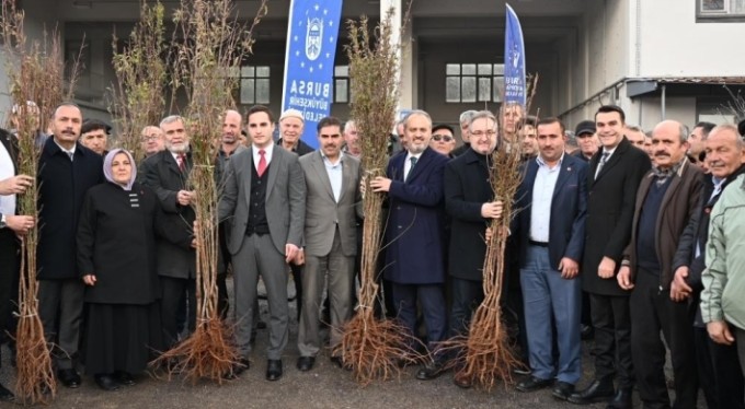 Bursa'da kırsaldaki çiftçilere 20 bin fidan dağıtıldı