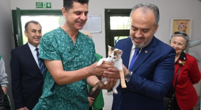 Bursa'da sokak hayvanlarına büyükşehir şefkati