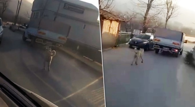 Bursa'da kamyonete bağladığı köpeğe böyle eziyet etti!