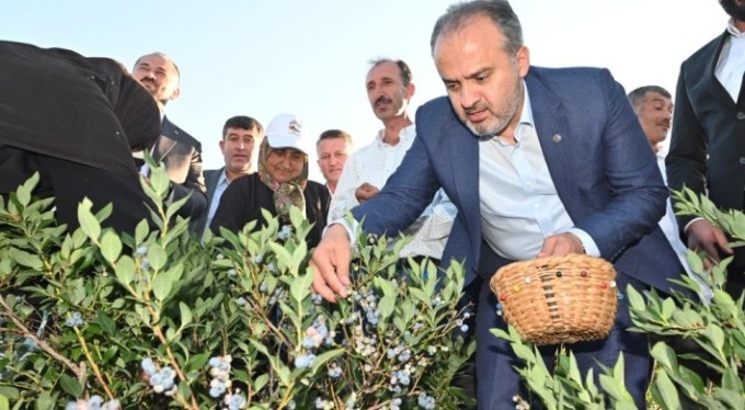 Bursa Büyükşehir'in çiftçiye desteği sürüyor! Üreticiye nefes