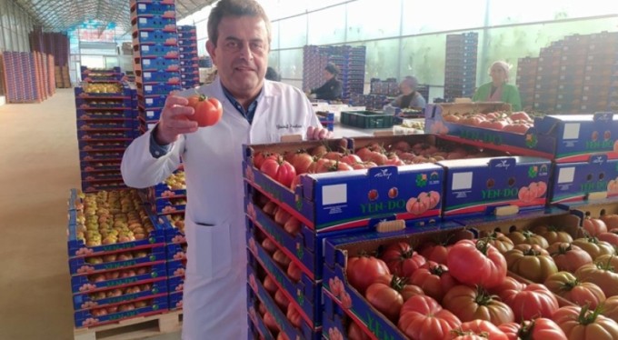 Avrupa, Bursa domatesi için sıraya girdi!