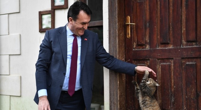 Osmangazi Belediyesi sokak hayvanlarına sahip çıktı