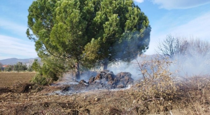 Bursa'da daha önce kesilmiş ağaçlar tutuştu