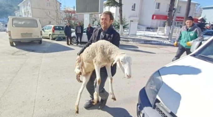 Bursalı çobanlar deprem bölgesine 40 koyun bağışladı