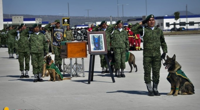 Meksikalı kurtarma ekipleri ülkelerine ulaştı
