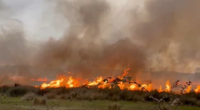Bursa'da korkutan yangın! Sazlıklar alev alev