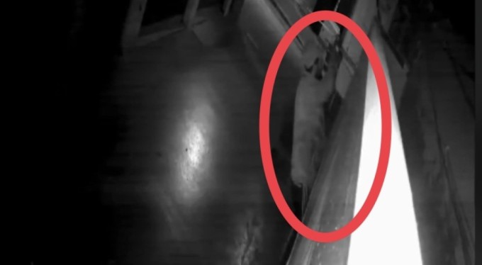 Bursa'da kedi gibi duvara tırmanan hırsız, kamerada