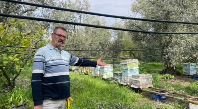 Bu hırsızlık parmak yalatır!