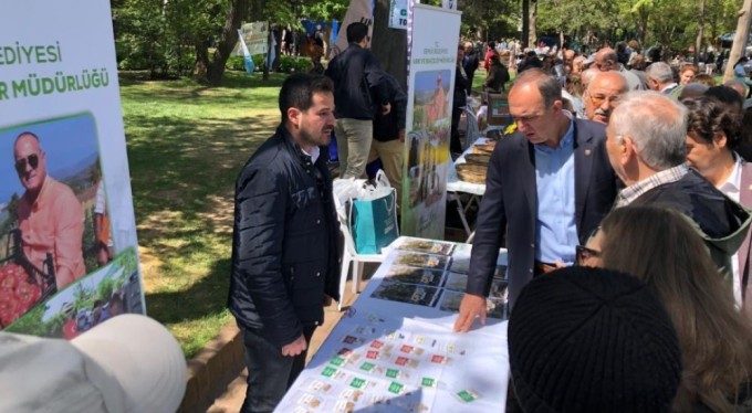 Gemlik'in tohumları Çanakkale'de