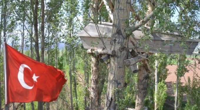 Görenler gözlerine inanamıyor! Ağaçların dallarında meyve değil tabut var