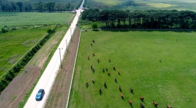 Togg Bursa'da şampiyon atlarla yarıştı