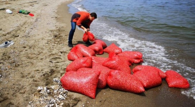 Bursa'da yasak dinlemediler! Çuval çuval avlamışlar...
