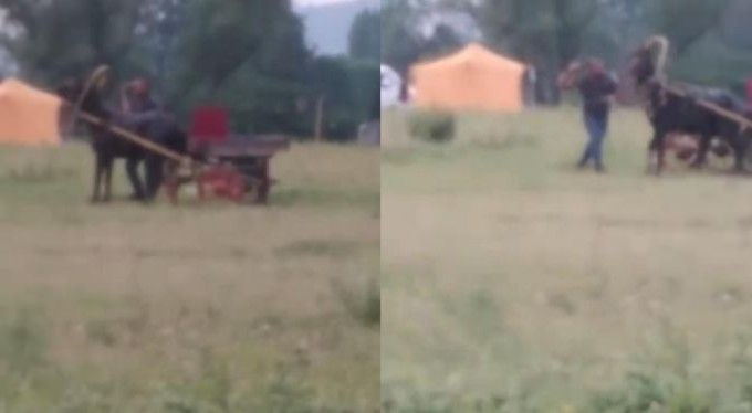 Bursa'da yürekleri sızlatan görüntü...Kendisini çeken ata böyle işkence yaptı