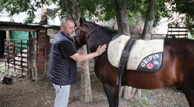 Bursa'da "Uludağ" isimli tay annesinin karnındayken satıldı!