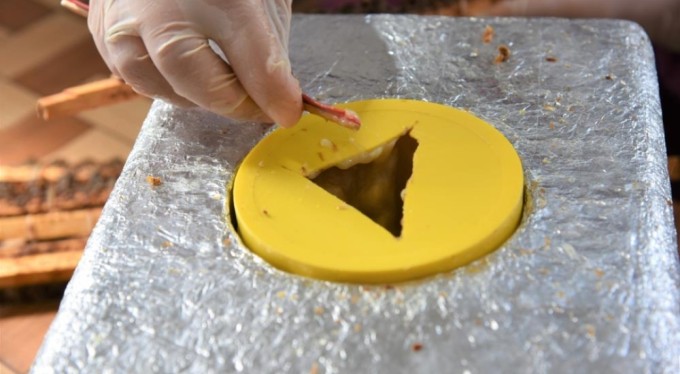 Bursa'da üretilen beyaz altının kilosu binlerce lirayı buluyor