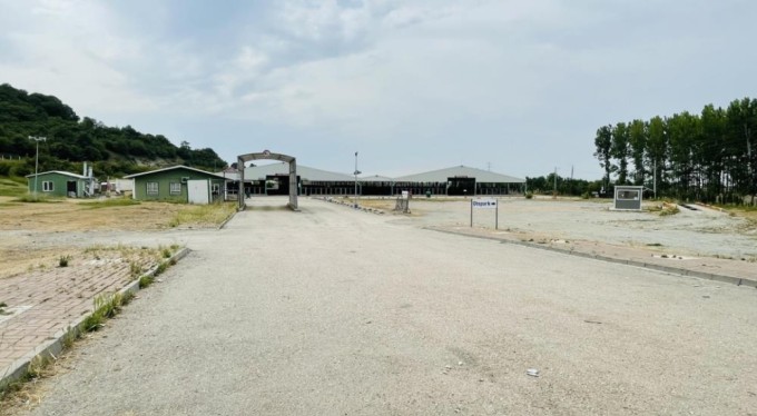 Bursa'daki hayvan pazarlarında şap karantinası