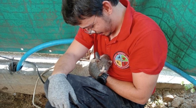 Bursa'da yağmur borusuna sıkışan kedi saatler sonra kurtarıldı!