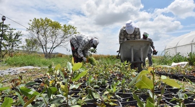 Bursa'da üretiliyor, dünyaya ihraç ediliyor