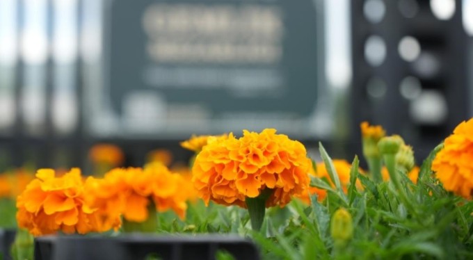 Mezarlıklarda çiçekler Gemlik Belediyesi'nden