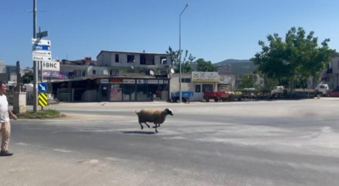 Bursa'da kesileceğini anlayan koç kaçıp trafiği birbirine kattı