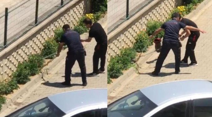 Bursa'da evin bahçesine giren yılan paniğe neden oldu!