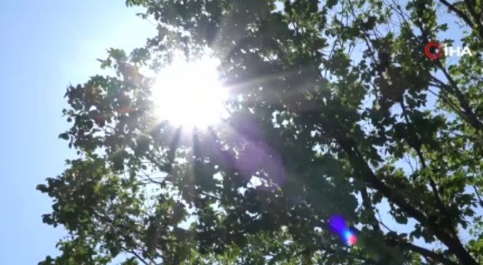 ABD'nin güneyinde sıcak hava dalgası: 14 ölü