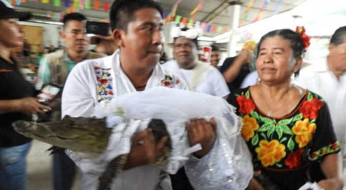 Meksikalı belediye başkanı timsahla evlendi, gelinlik giydirdi, dans etti