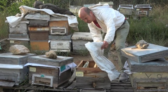 Bursa'da ilginç hırsızlık! Kovanlarıyla birlikte çaldılar