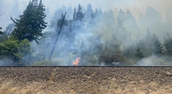 ABD'de orman yangını: 10 ev yandı, 540 dönüm alan küle döndü