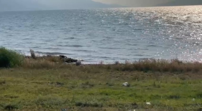 Bursa'da gölde yüzerken kalp krizi geçiren kişi hayatını kaybetti!