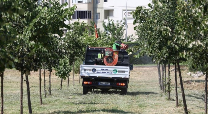 Sinekle mücadele hız kesmiyor