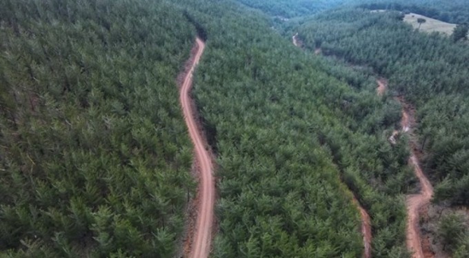 Bursalılar dikkat! Ormanlarda ateş yakmak yasaklandı