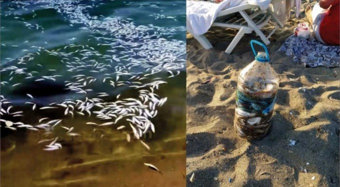 Bursa'da yasak dinlemeden tonlarca mezgit yakaladılar! Sonrasında denize döküp kaçtılar