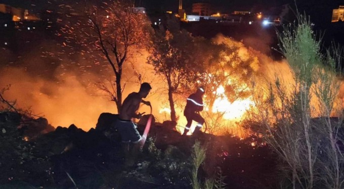 Cezayir'de orman yangını: 15 ölü