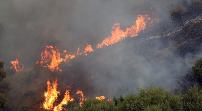 Cezayir'deki orman yangınlarında can kaybı 34'e yükseldi
