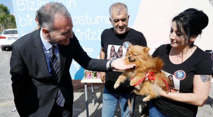 İnegöl Belediyesi 6 ayda 2 bin 700 hayvana şifa oldu