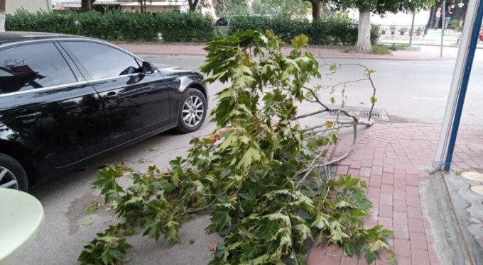 Bursa'da yürekleri ağza getiren olay! Faciadan son anda kurtuldu