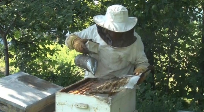 Bal üretiminde dünyada ikinci sıradayız